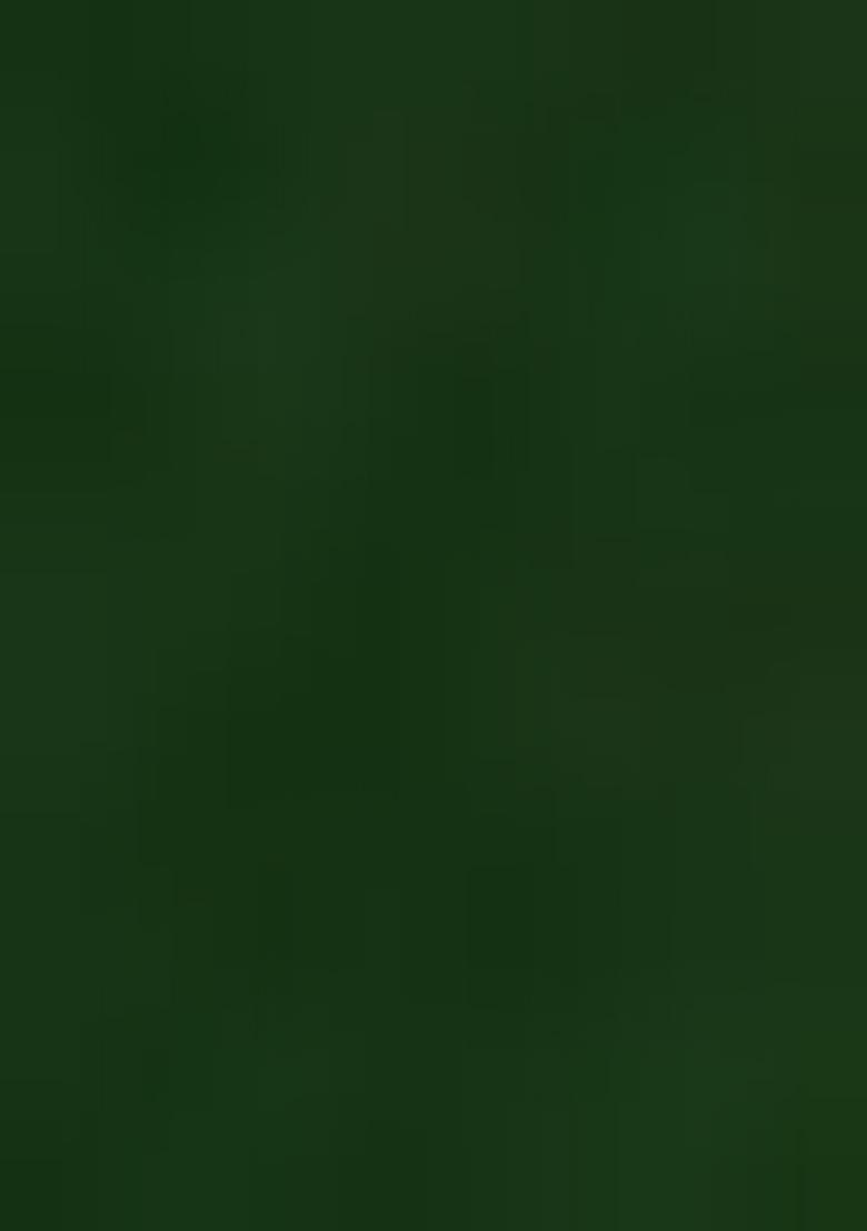 Green Abstract Print Georgette Saree Set