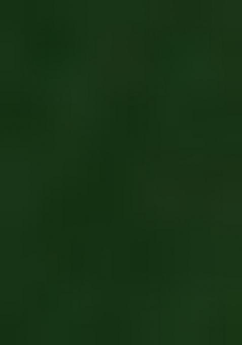 Green Abstract Print Georgette Saree Set