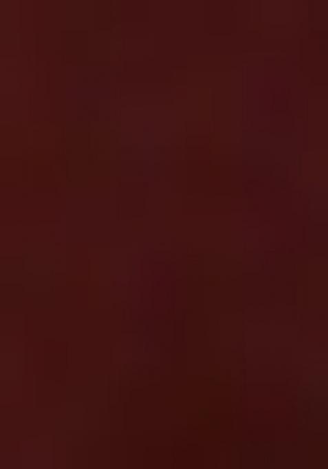 Maroon Abstract Print Georgette Saree Set