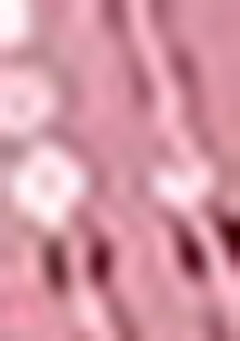 Baby Pink Sequin Embroidered Georgette Saree Set