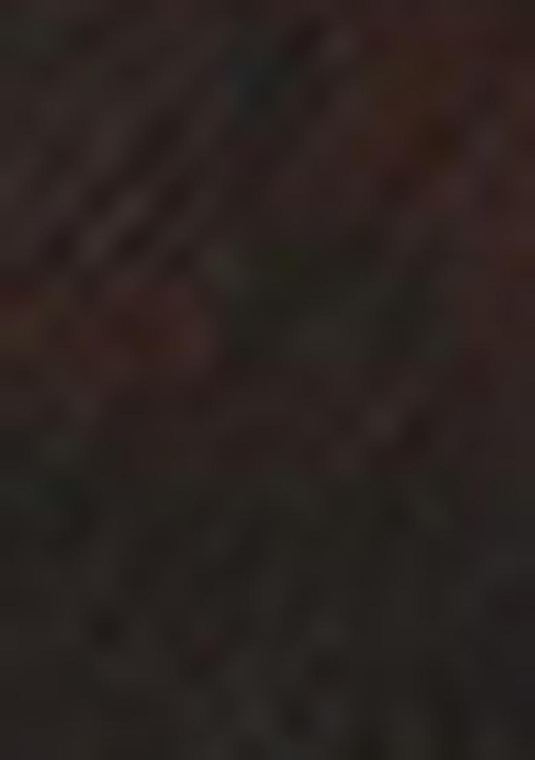 Black Sequin Embroidered Georgette Saree Set