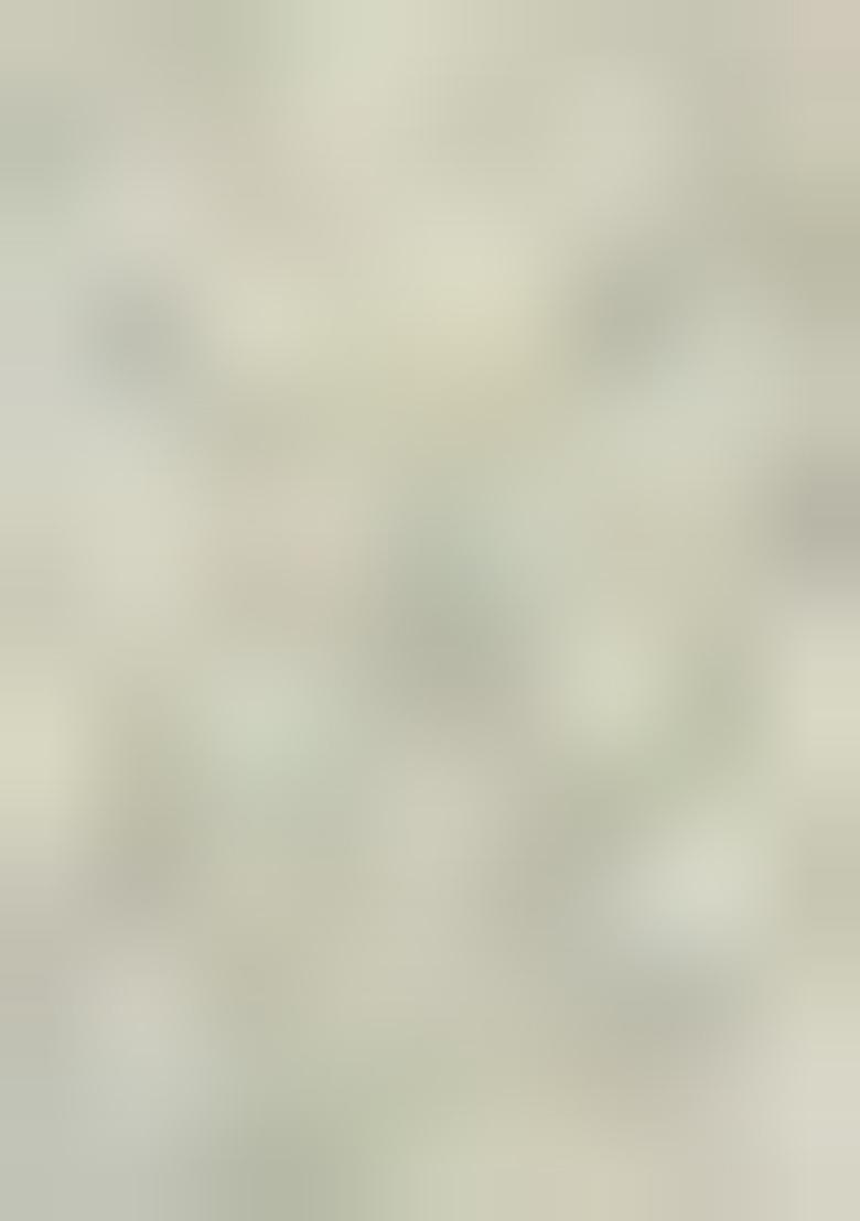 Sea Green Zari Weaving Organza Saree Set