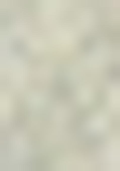 Sea Green Zari Weaving Organza Saree Set