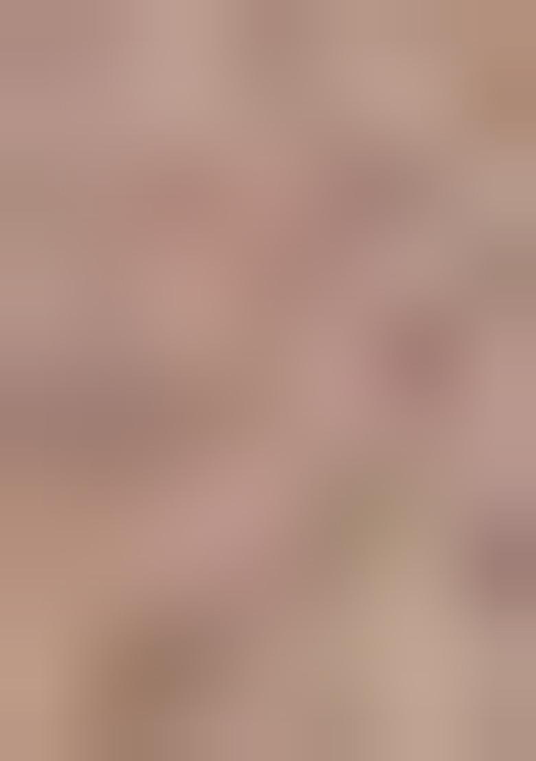 Brown Zari Weaving Organza Saree Set