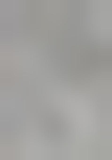 Silver Zari Weaving Organza Saree Set