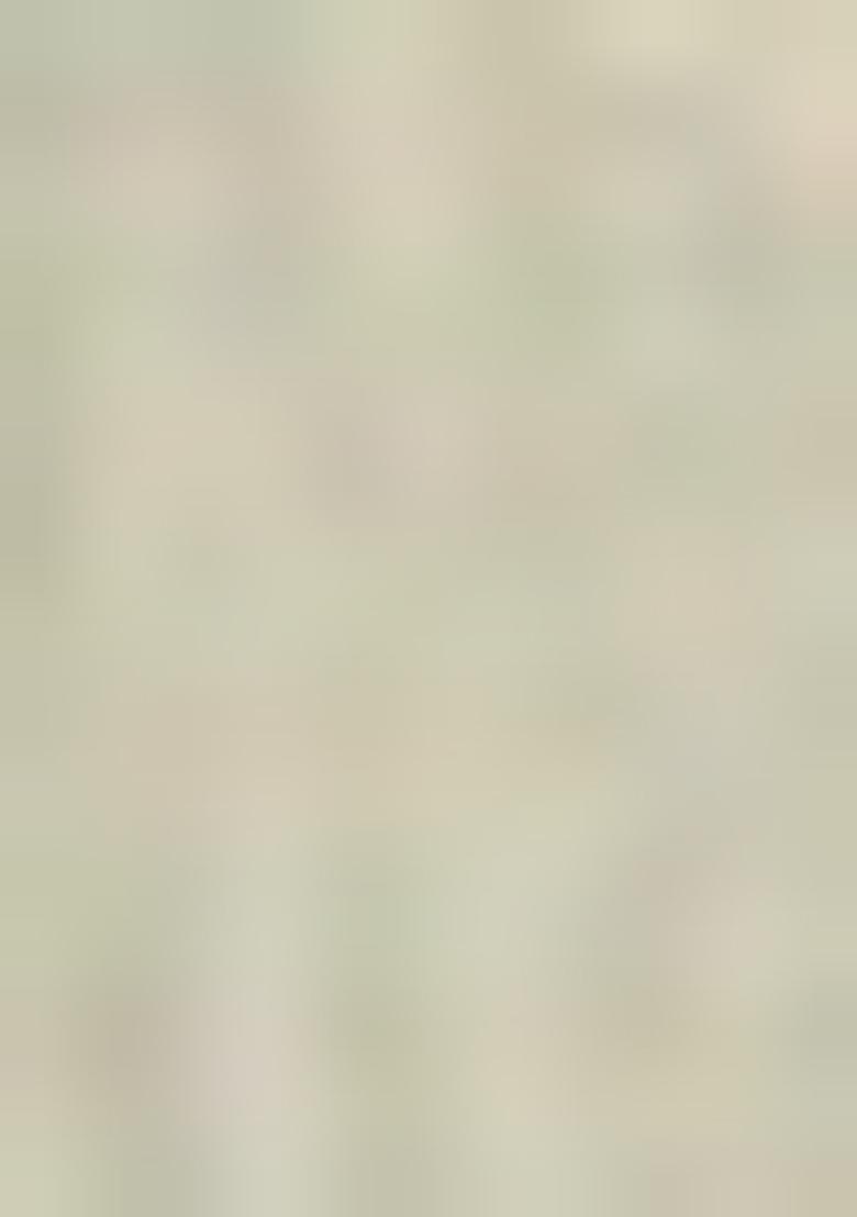 Light Green Printed Organza Saree Set