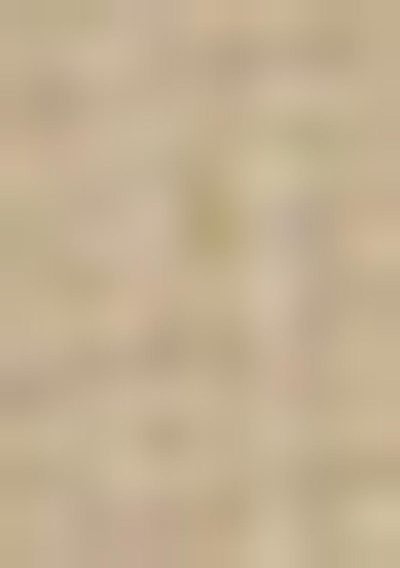 Light Yellow Printed Organza Saree Set