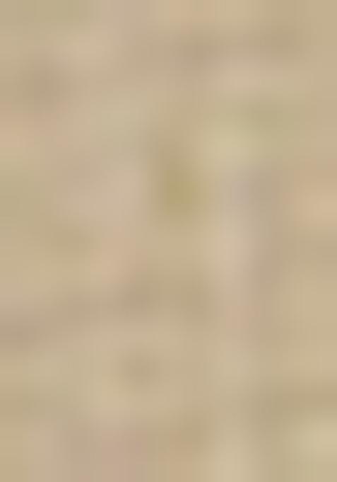 Light Yellow Printed Organza Saree Set