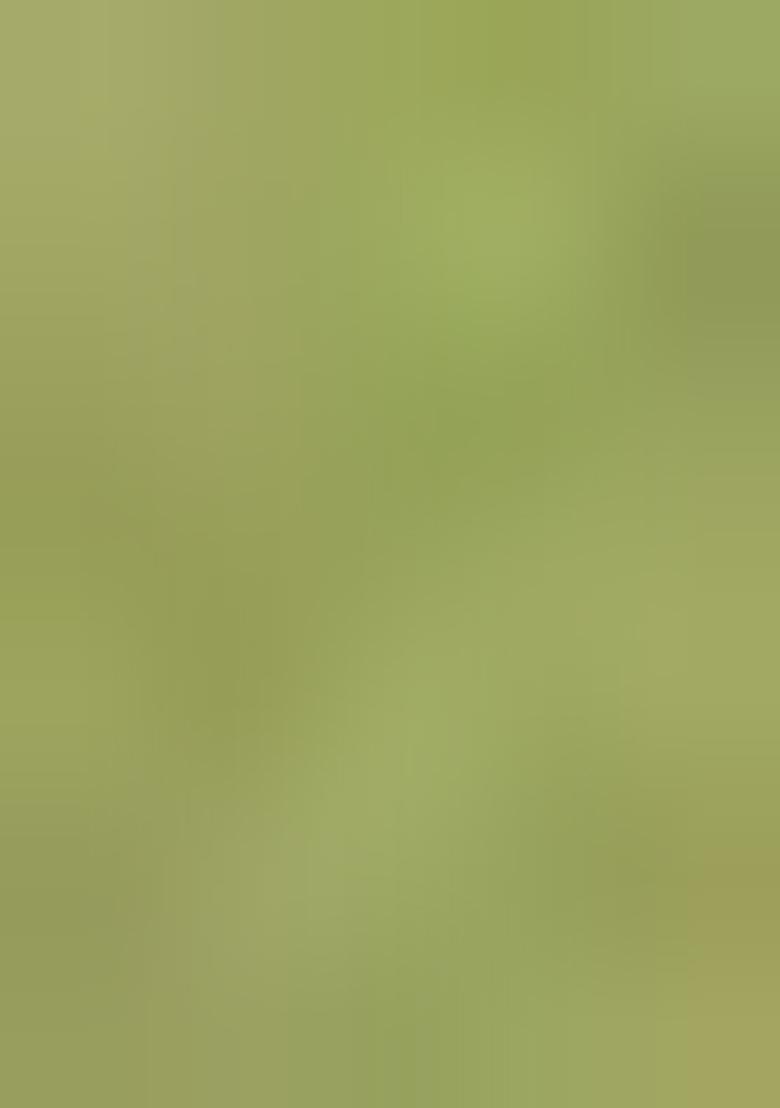 Light Green Printed Organza Saree Set