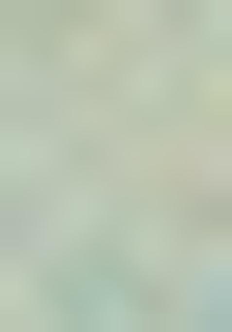 Olive Green Printed Organza Saree Set