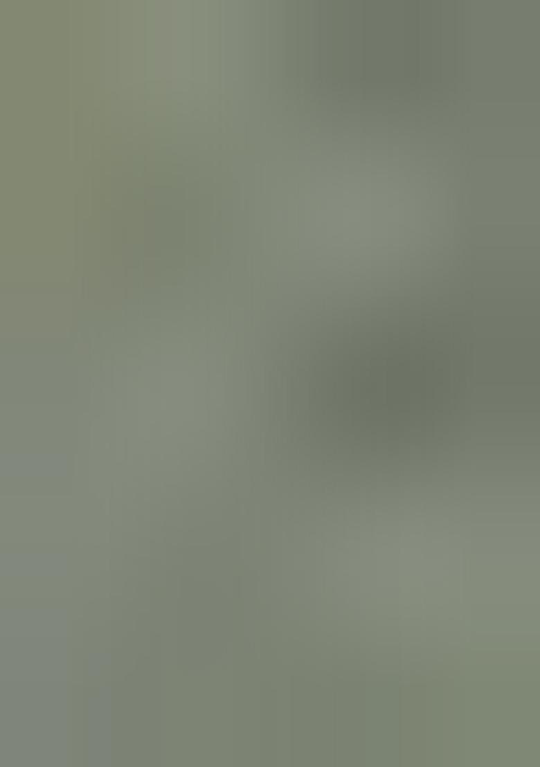 Light Green Printed Organza Saree Set