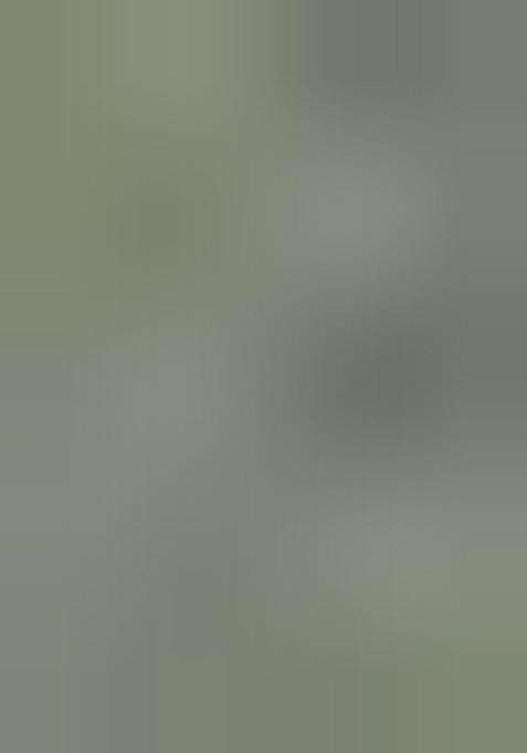 Light Green Printed Organza Saree Set