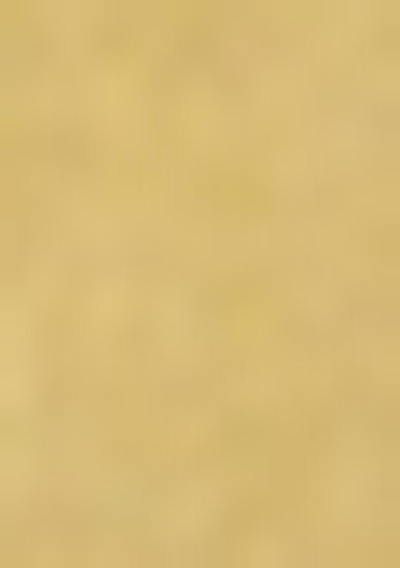 Mehendi Green Printed Organza Saree Set