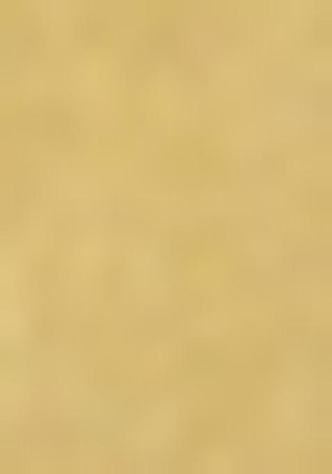 Mehendi Green Printed Organza Saree Set