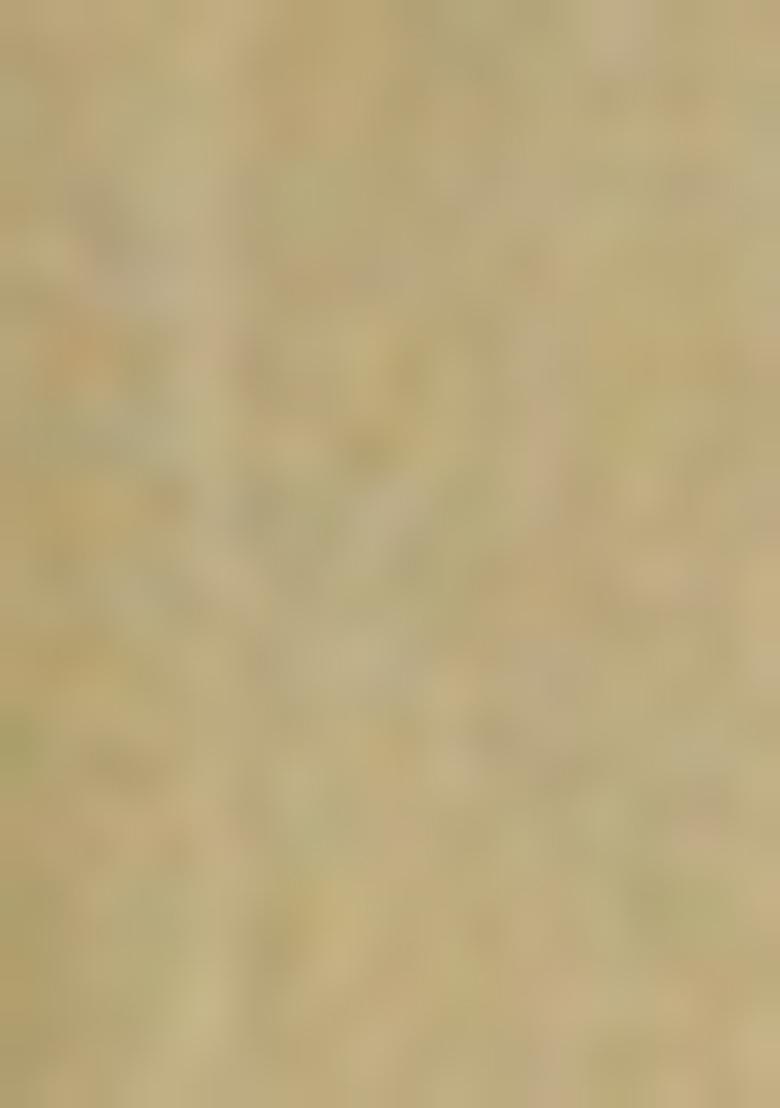 Light Green Printed Organza Saree Set