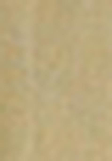 Light Green Printed Organza Saree Set