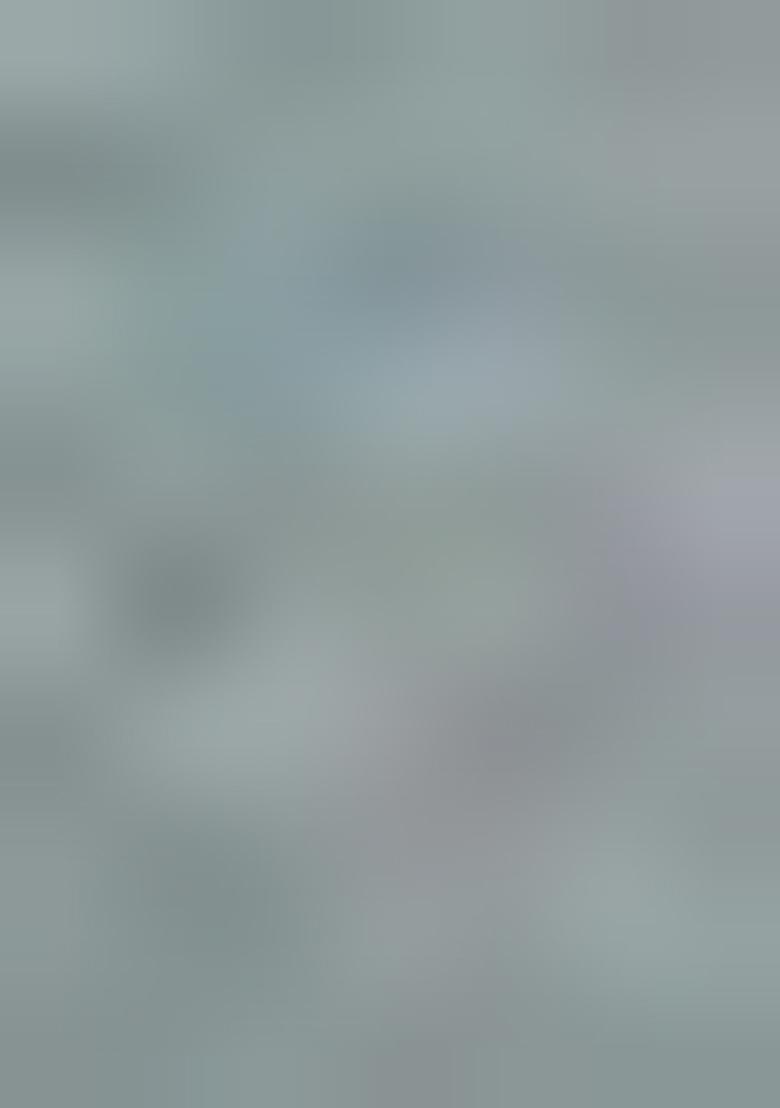 Light Blue Printed Organza Saree Set