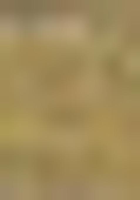 Mehendi Green Printed Organza Saree Set