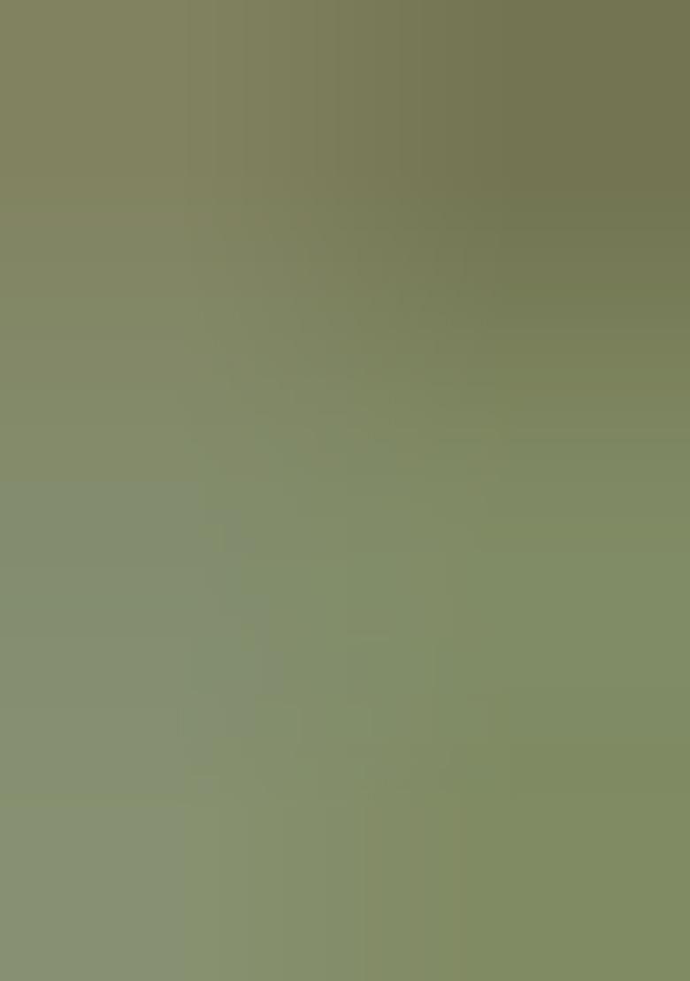 Light Green Embroidered Cotton Saree Set