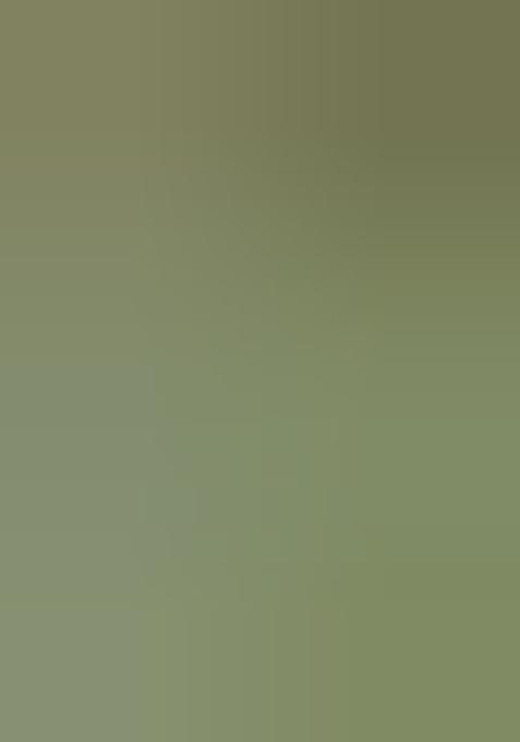 Light Green Embroidered Cotton Saree Set