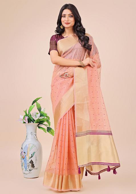 Brown Embroidered Organza Saree  Set