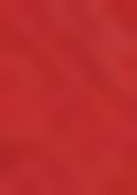 Red Embroidered Linen Cotton Saree Set