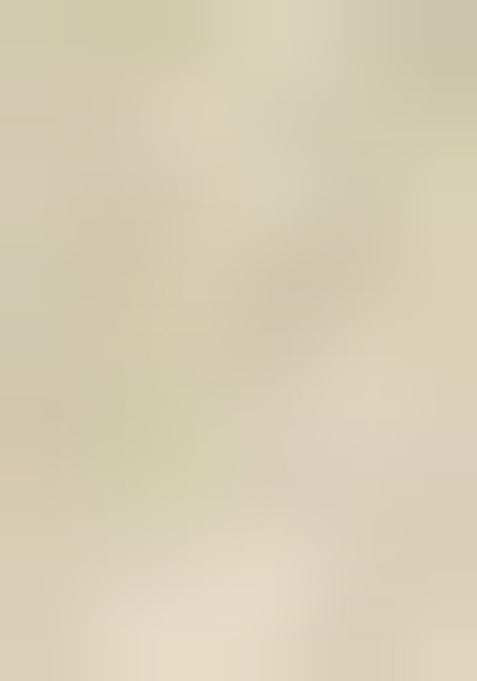 Light Green Embroidered Cotton Saree Set