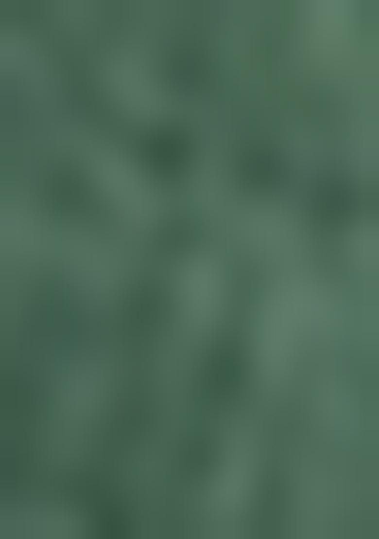 Rama Green Woven Silk Saree  Set