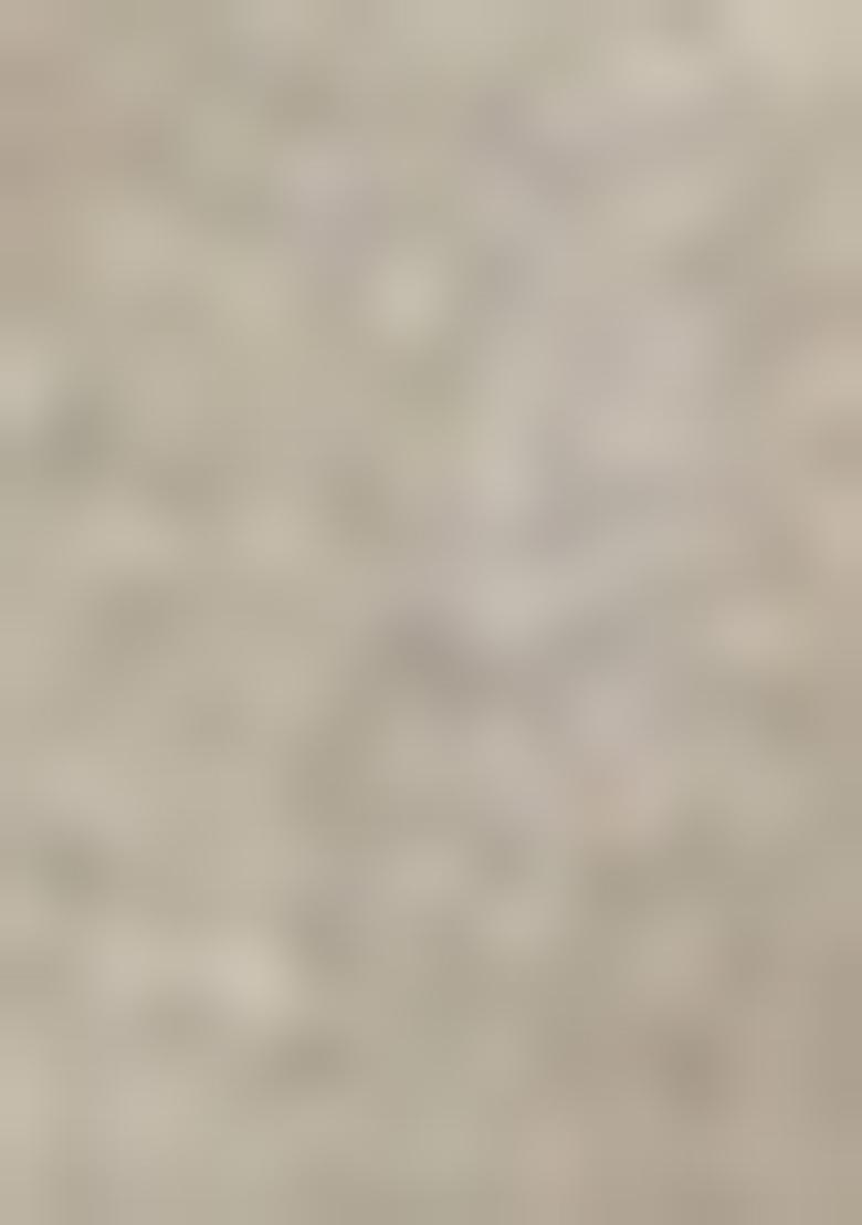 Grey Woven Silk Saree  Set