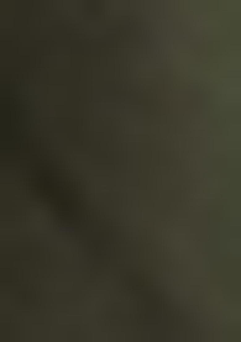 Green Woven Paithani Silk Saree Set