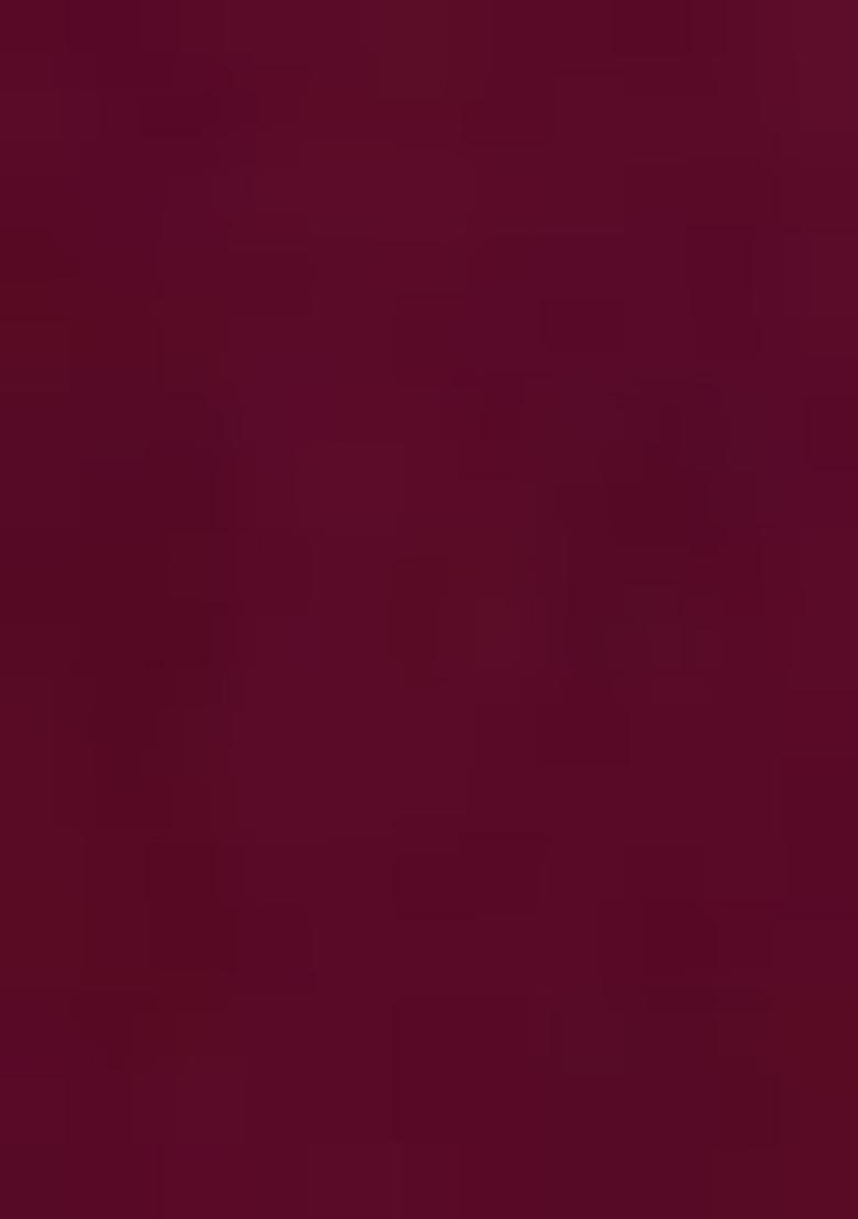 Wine Embroidered Georgette Saree Set