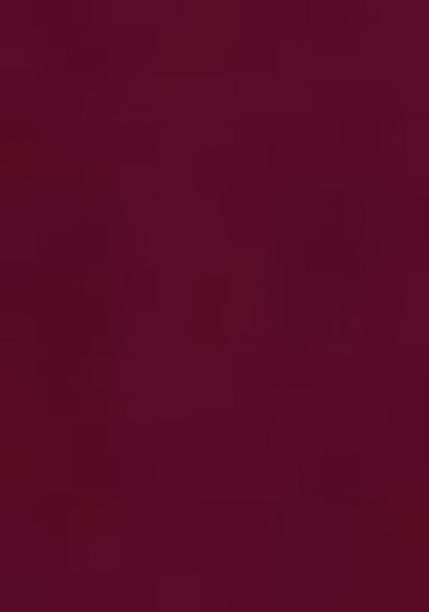 Wine Embroidered Georgette Saree Set