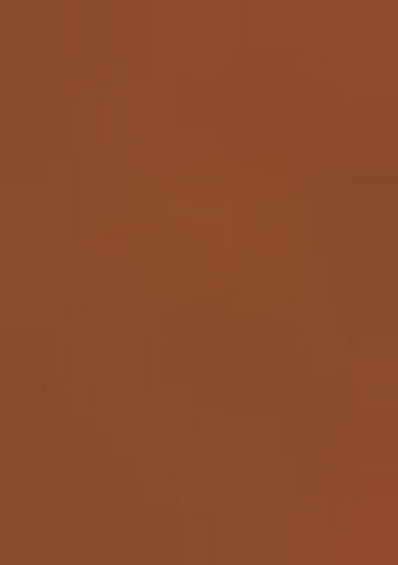 Brown Printed Poly Blend Saree Set With Blouse