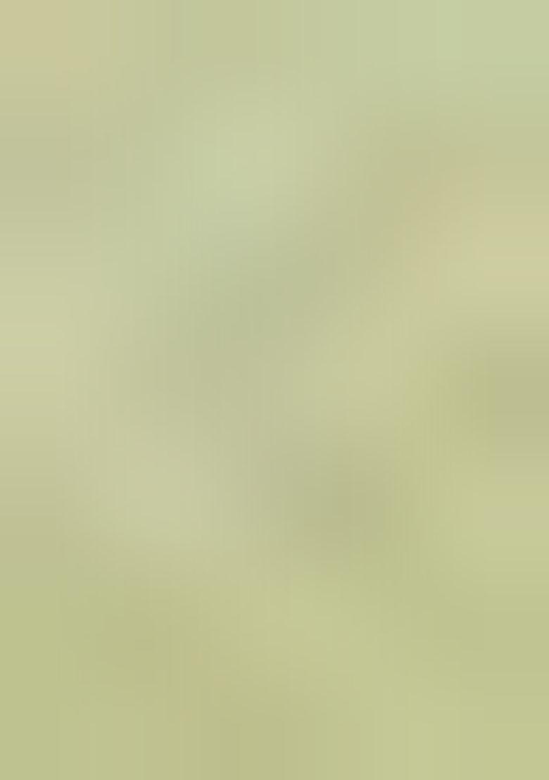 Pista Green Solid Polyester Saree Set With Blouse