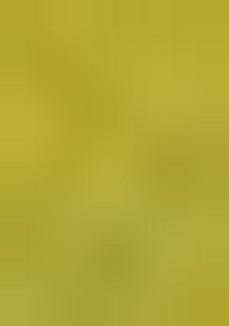 Olive Printed Georgette Saree Set With Blouse