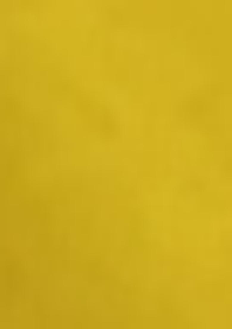 Mustard Yellow Embroidered Soft Silk Saree Set With Blouse