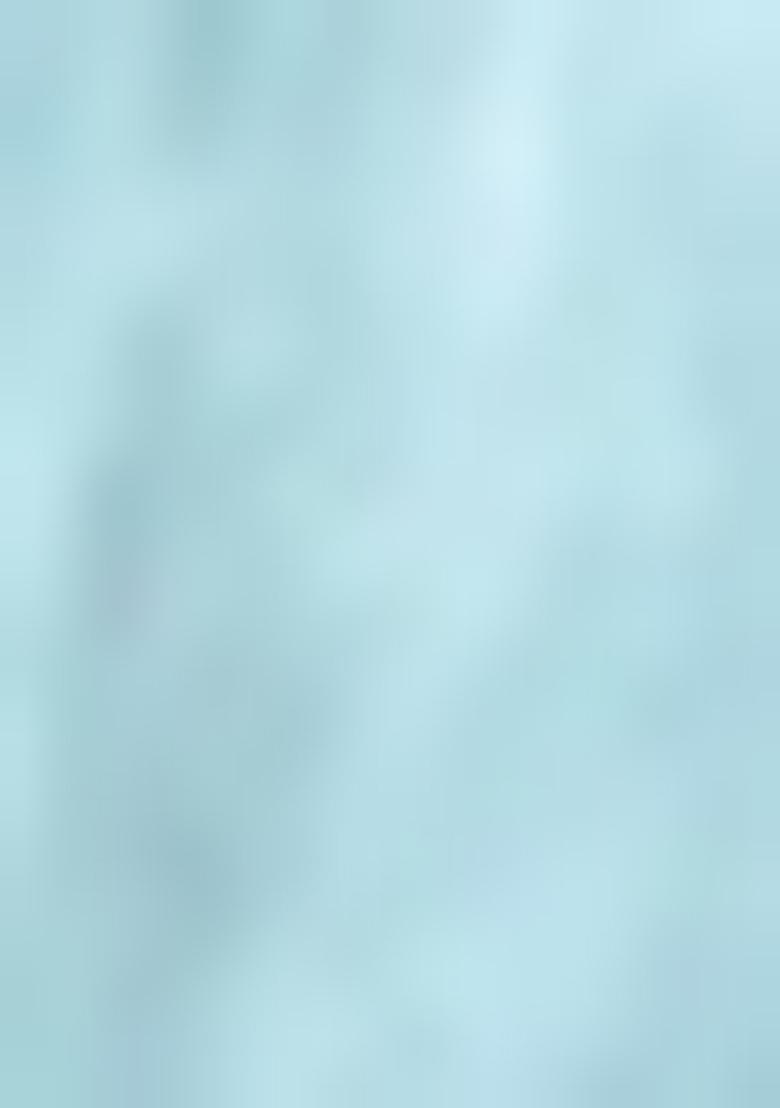 Sky Blue Kalamkari Cotton Saree Set With Blouse