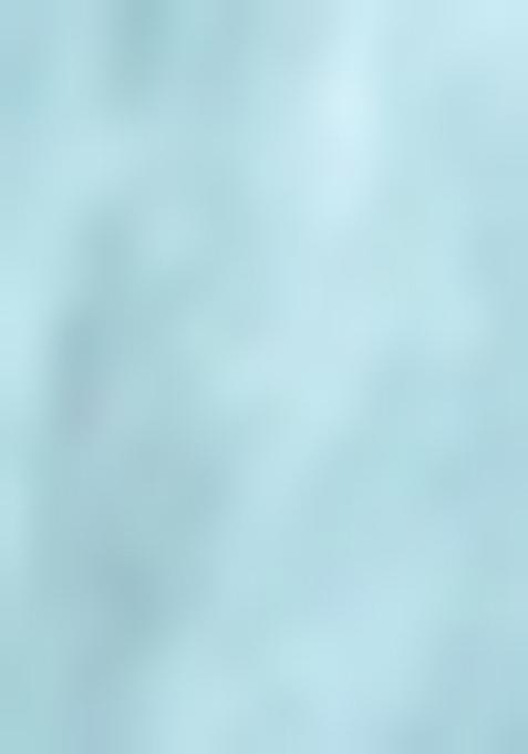 Sky Blue Kalamkari Cotton Saree Set With Blouse