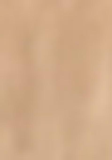 Peach Kalamkari Cotton Saree Set With Blouse