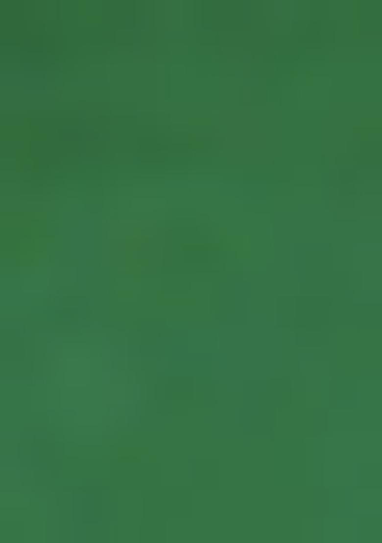 Green Kanchipuram Pure Soft Silk Saree Set With Blouse