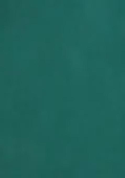 Blue Kanchipuram Pure Soft Silk Saree Set With Blouse