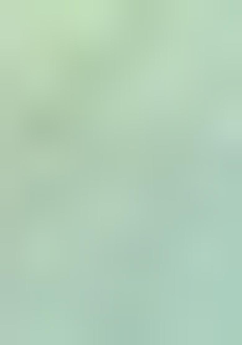 Light Green Pure Zari Weaving Work Pure Tissus Silk Saree Set With Blouse