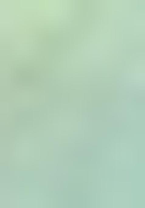 Light Green Pure Zari Weaving Work Pure Tissus Silk Saree Set With Blouse