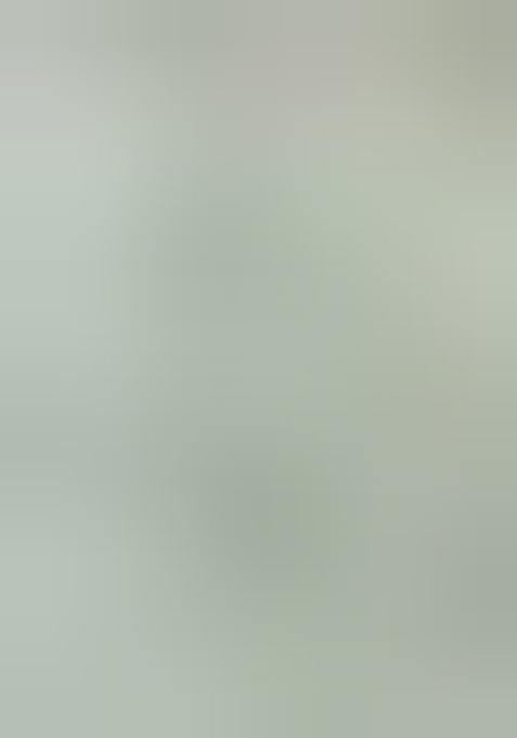 Green Pure Zari Weaving Work Pure Tissue Silk Saree Set With Blouse