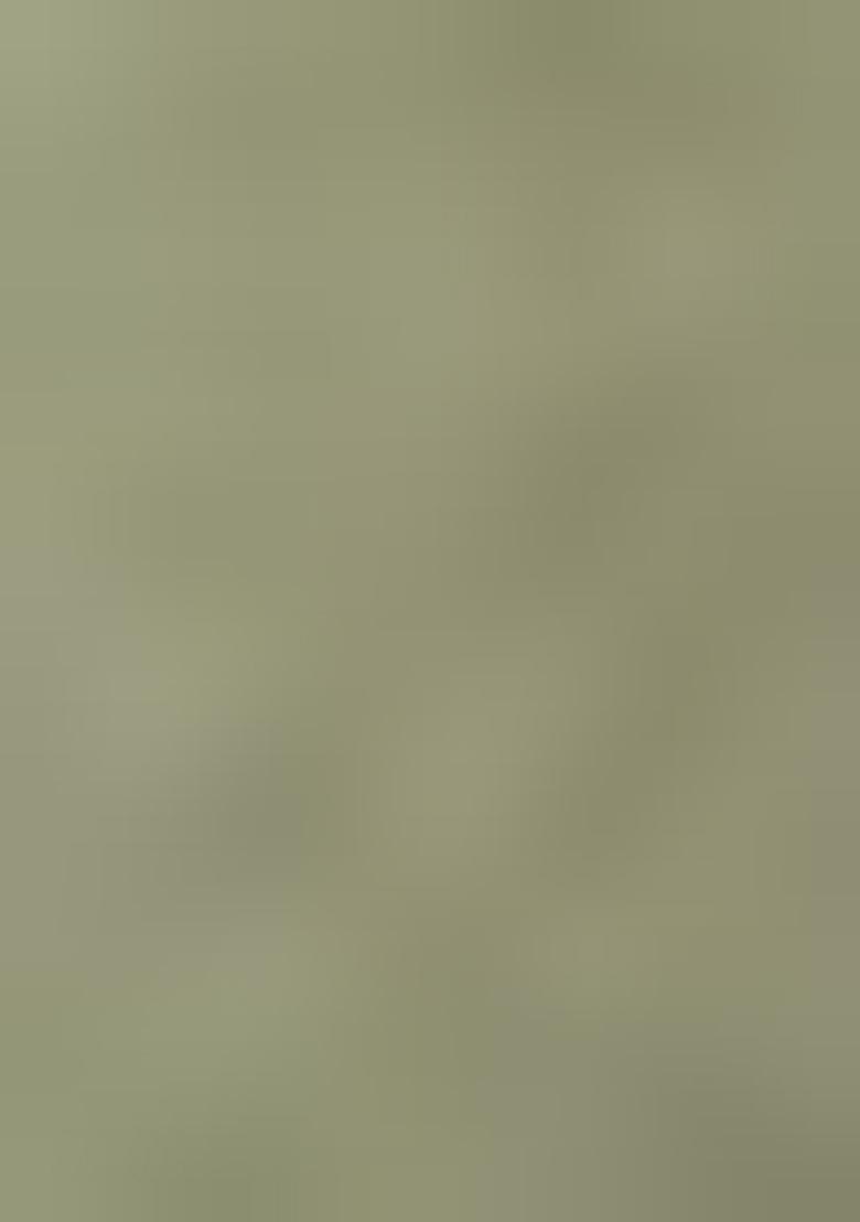 Navy Blue Pure Zari Weaving Butti Pure Soft Silk Saree Set With Blouse