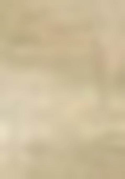 Cream Embroidered Pure Tussar Silk Saree Set With Blouse