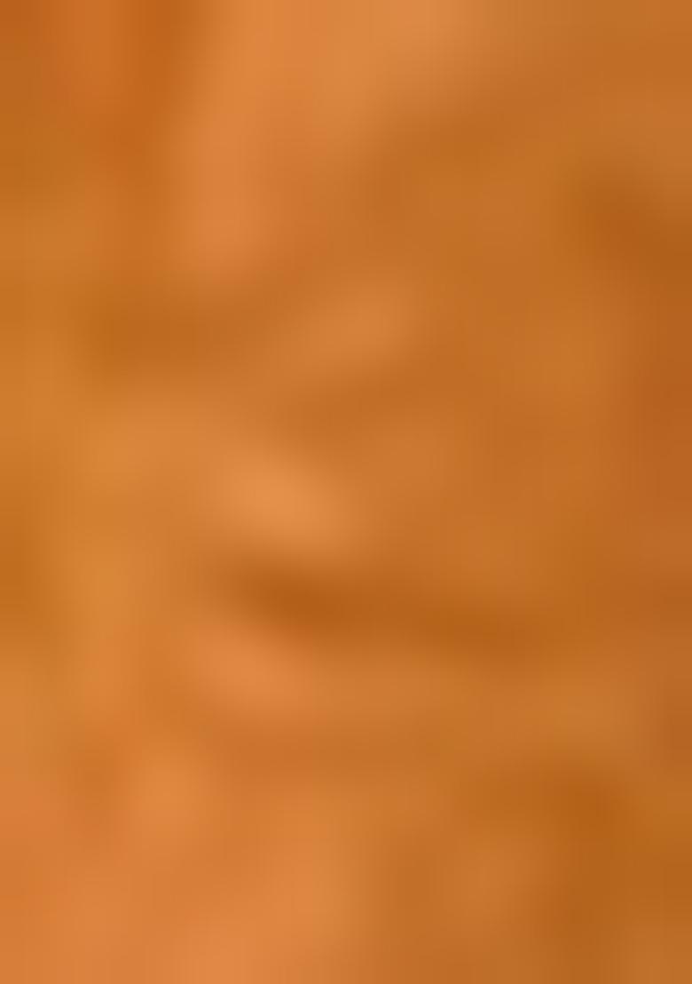 Orange Embroidered Pure Tussar Silk Saree Set With Blouse