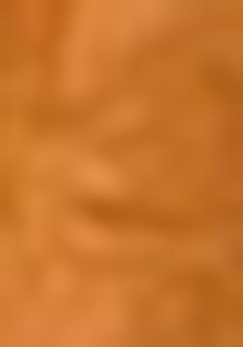 Orange Embroidered Pure Tussar Silk Saree Set With Blouse