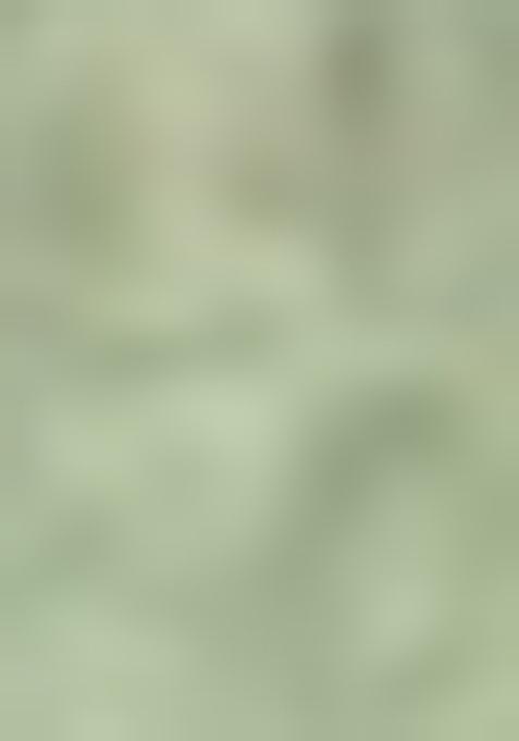 Light Green Embroidered Pure Tussar Silk Saree Set With Blouse