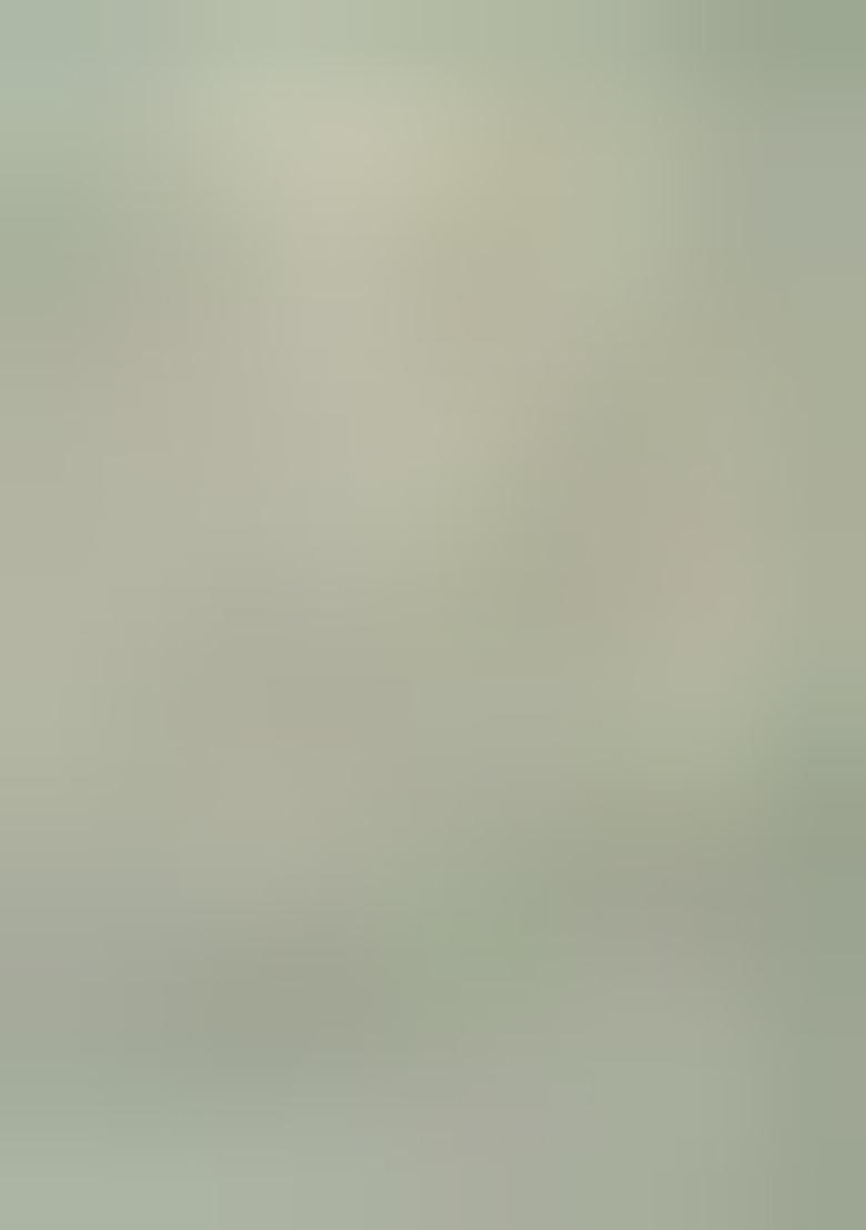 Beige Kalamkari Chanderi Saree Set With Blouse